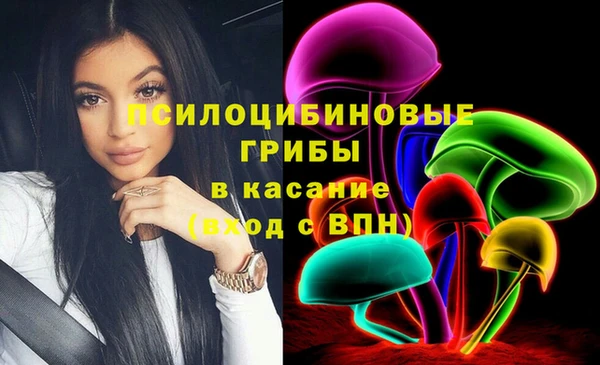 ПСИЛОЦИБИНОВЫЕ ГРИБЫ Волосово