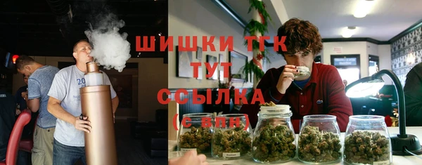 ПСИЛОЦИБИНОВЫЕ ГРИБЫ Волосово